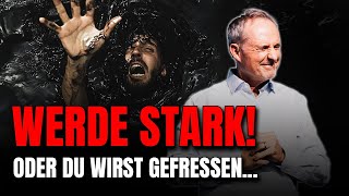 Werde Stark! Oder Du wirst gefressen…